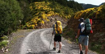 asistencia al viajero en el camino de santiago